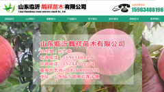 临沂鹤祥苗木