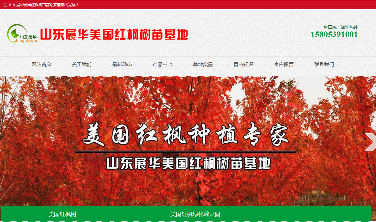 临沂展华美国红枫网站案例图