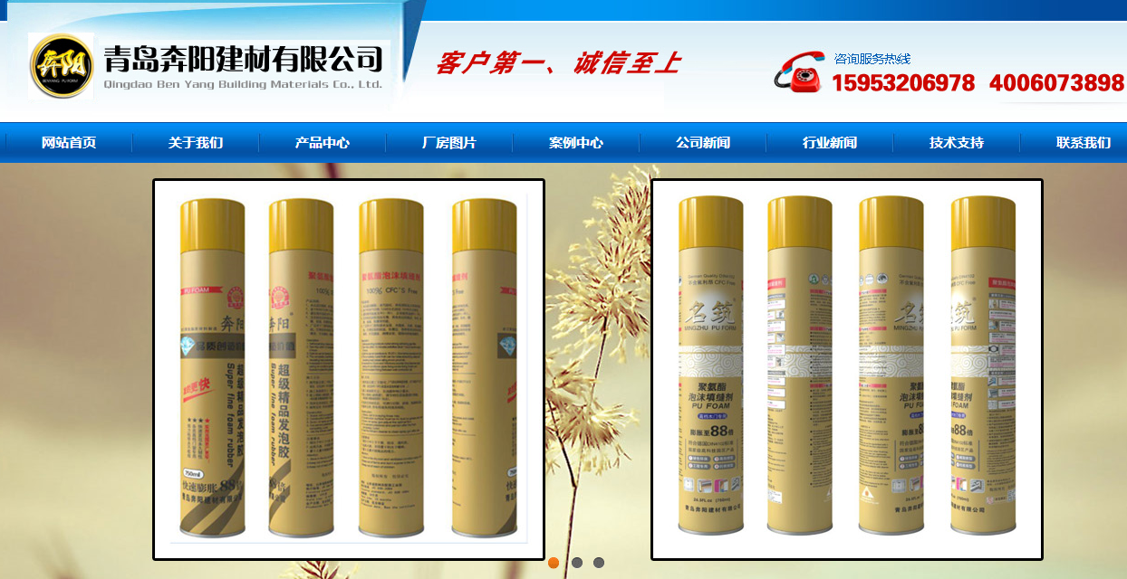 青岛奔阳建材网站案例